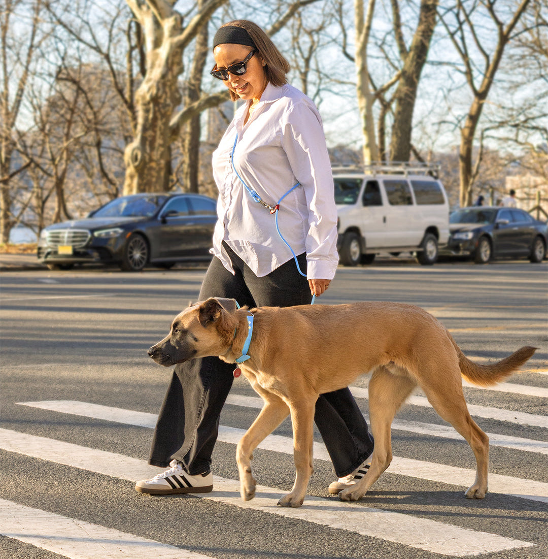 Leash Walking Tip 2