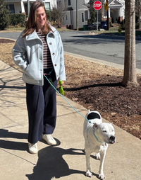 Field Leash - 4-8 ft
