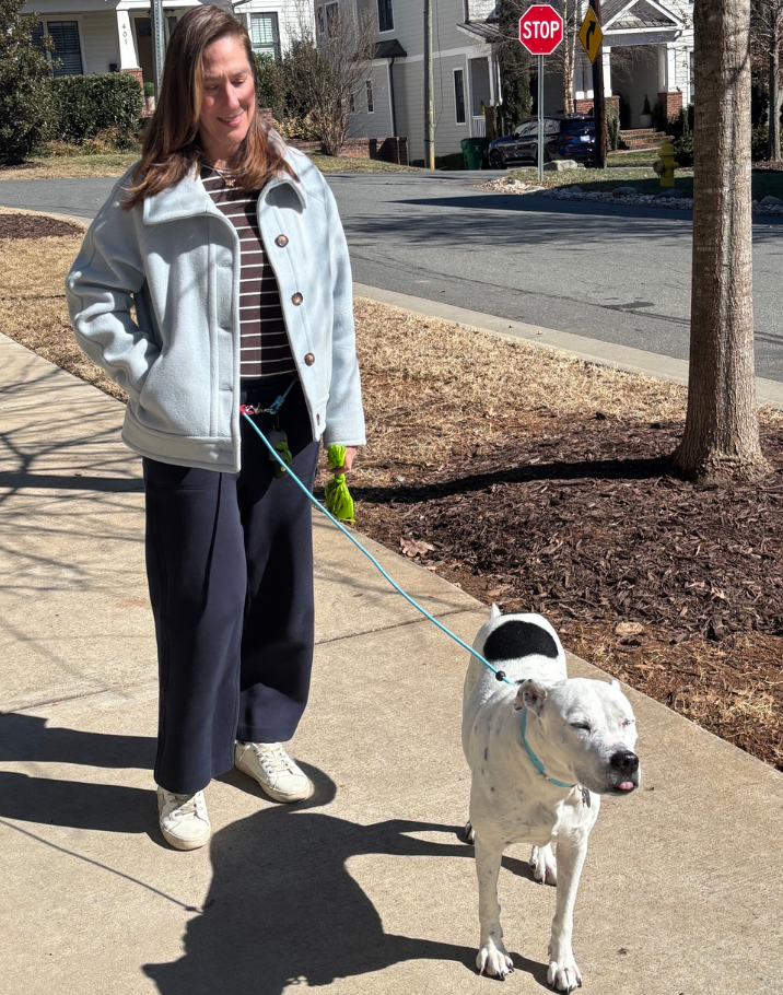 Field Leash - 4-8 ft