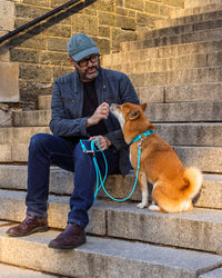 Field Leash - 4-8 ft
