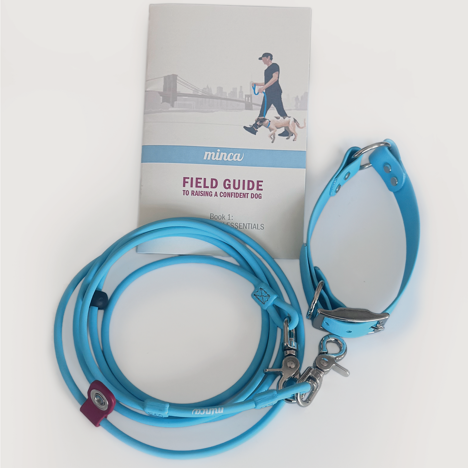 Field Set: Collar, Leash, & Guide