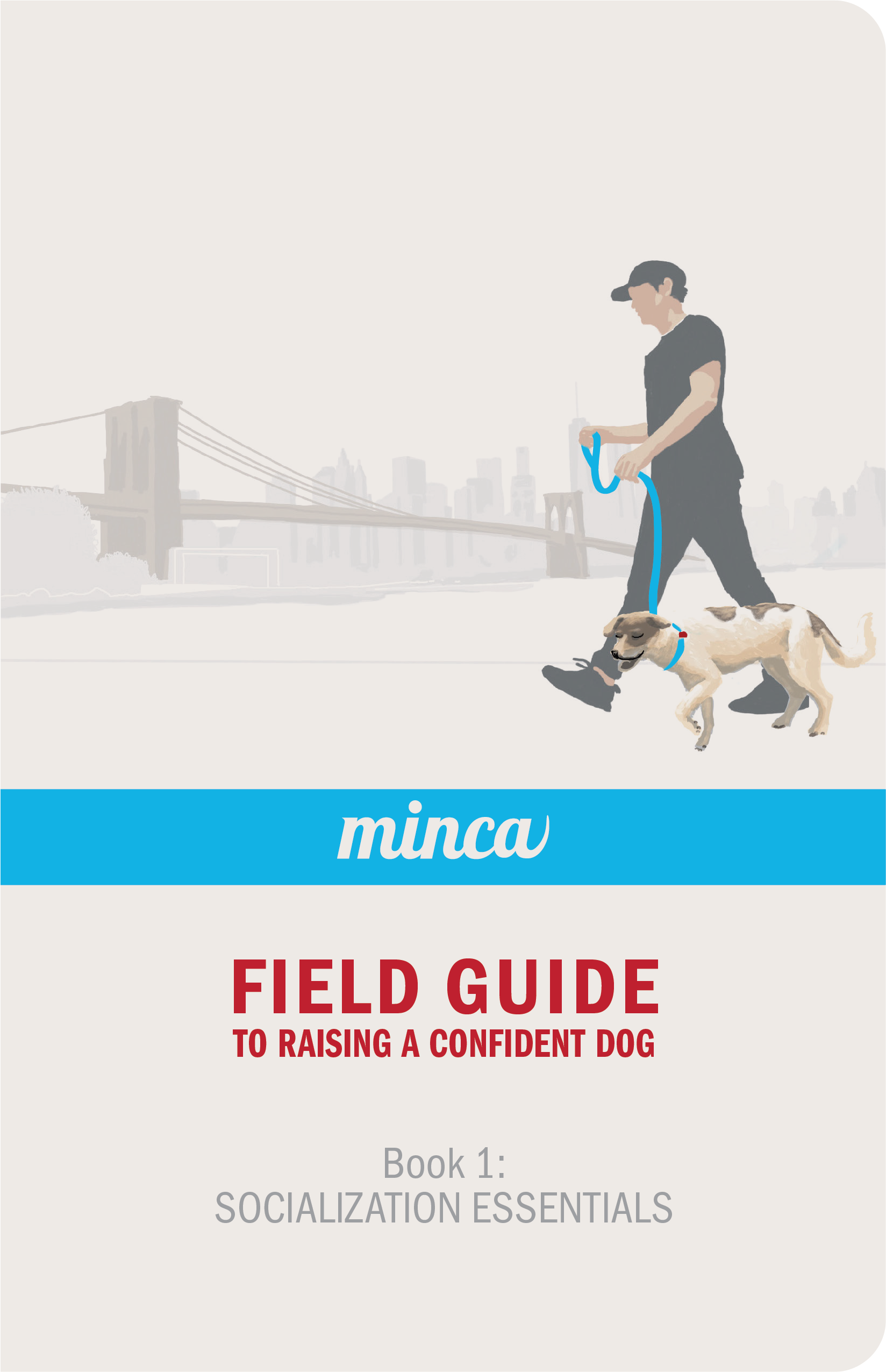 Field Set (Collar, Leash & Guide)