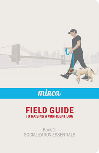 Field Set (Collar, Leash & Guide)