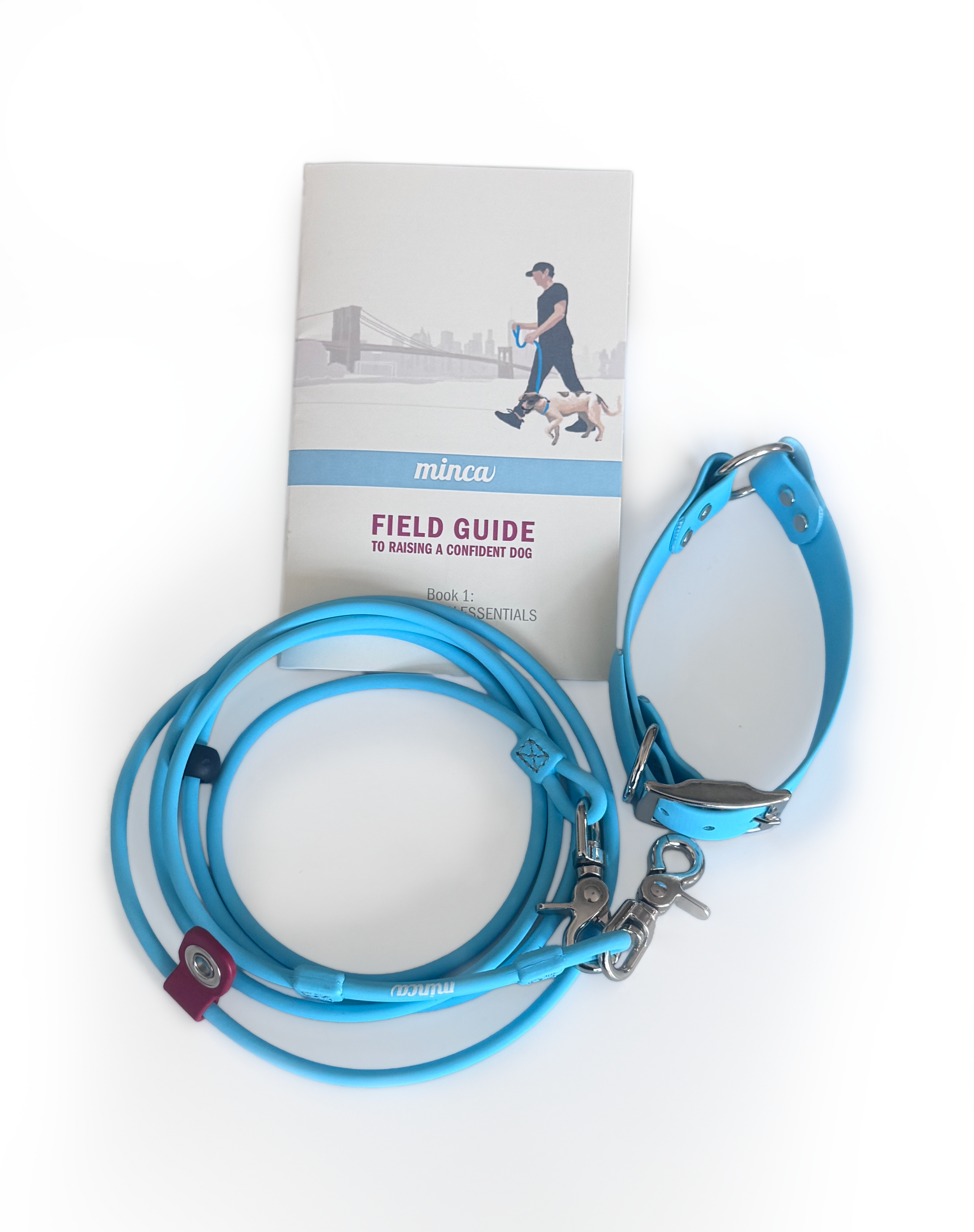 Field Set (Collar, Leash & Guide)