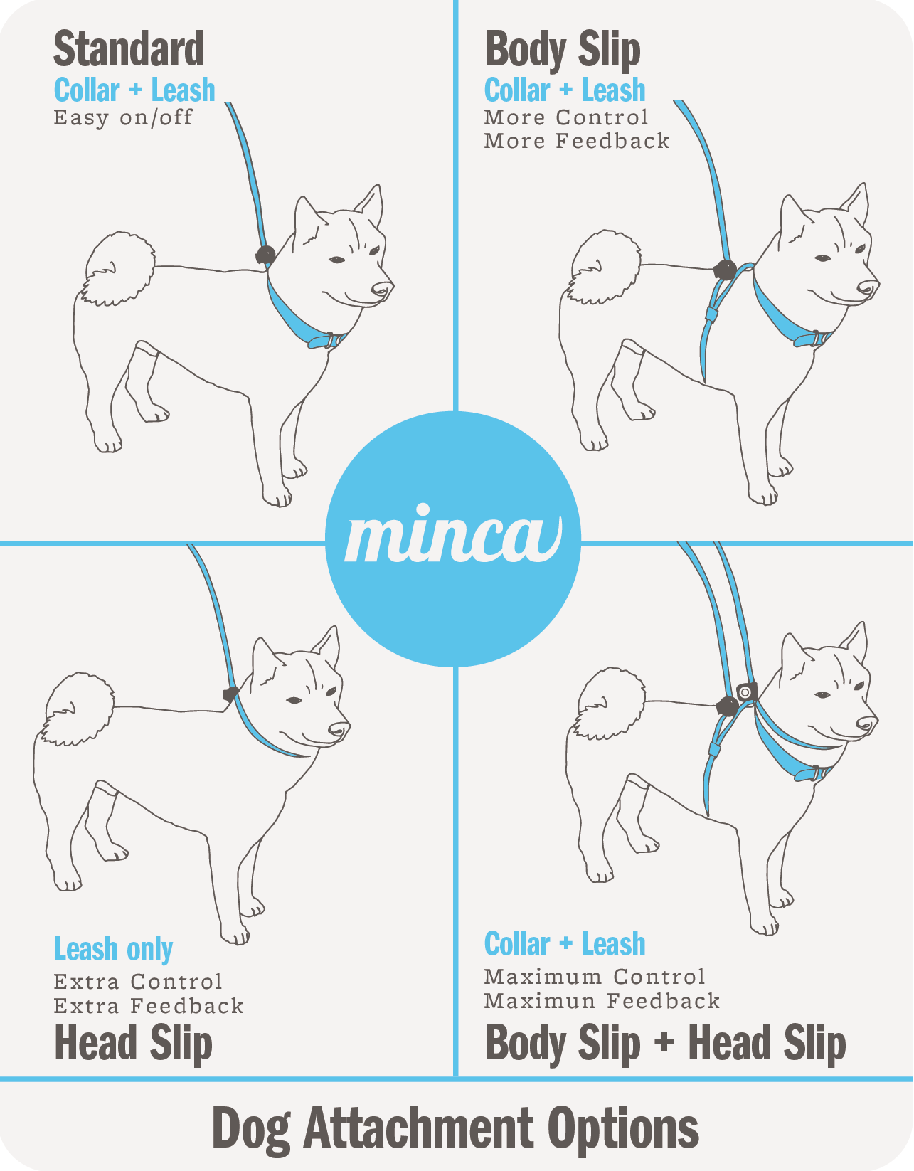 Field Leash - 4-8 ft & Socialization Field Guide - Digital