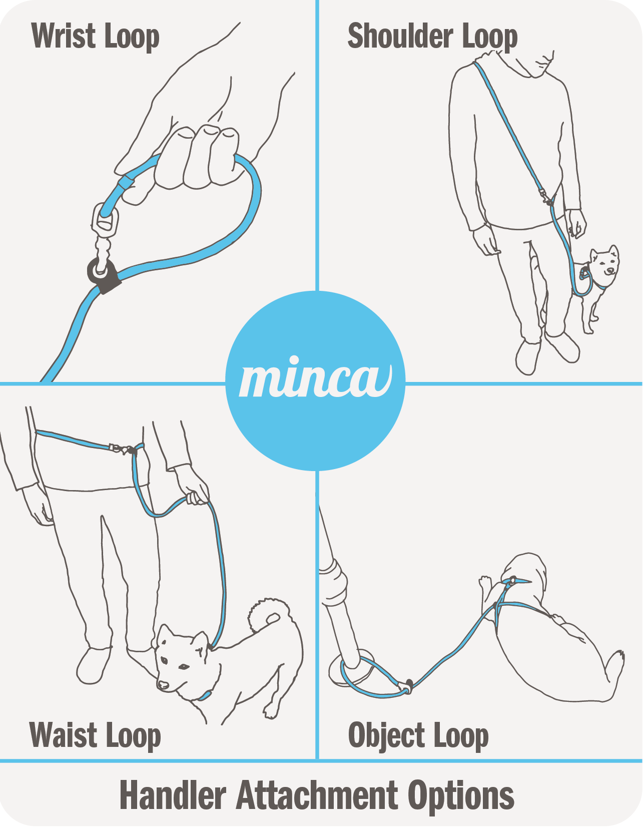 Field Leash - 4-8 ft & Socialization Field Guide - Digital