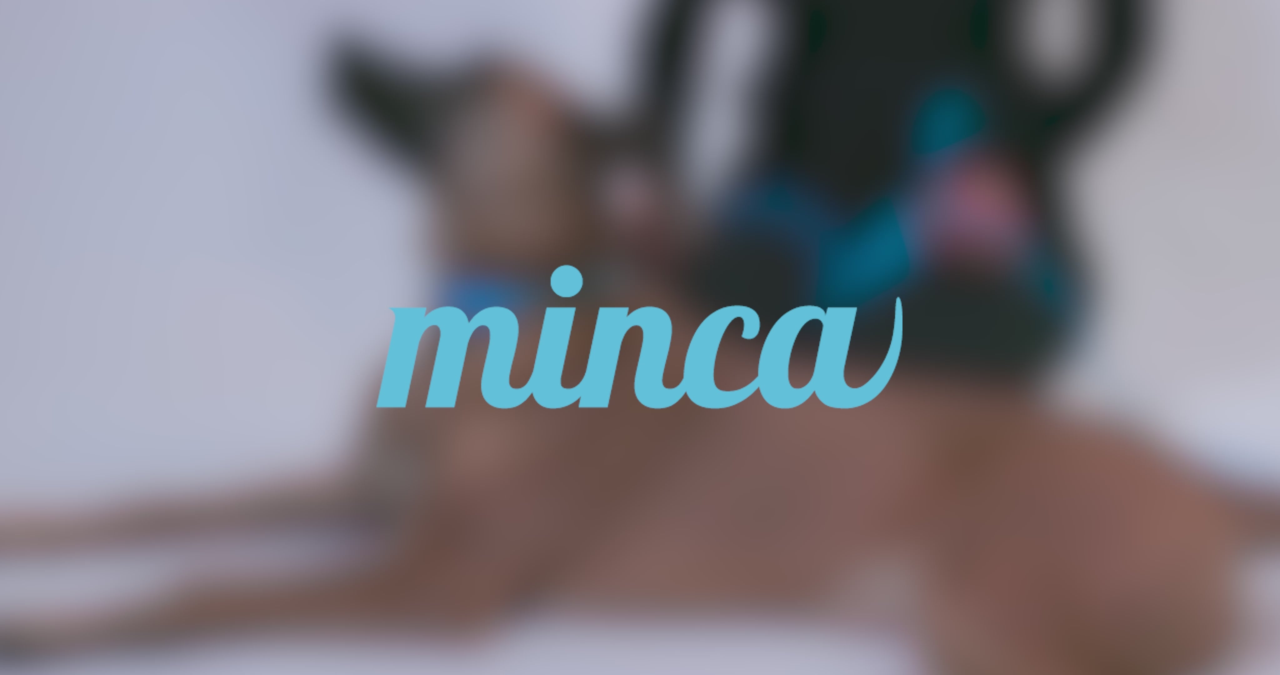 Field Set (Collar, Leash & Guide)