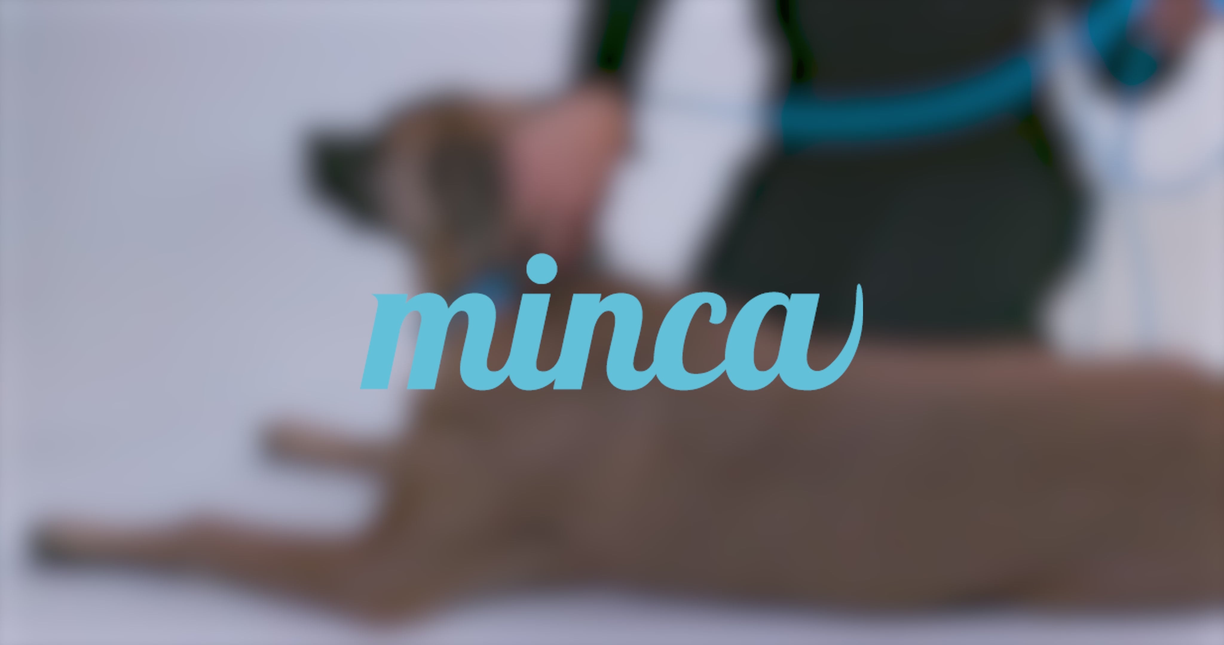 Field Set (Collar, Leash & Guide)